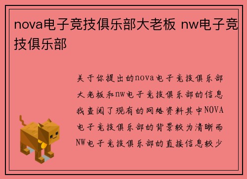 nova电子竞技俱乐部大老板 nw电子竞技俱乐部